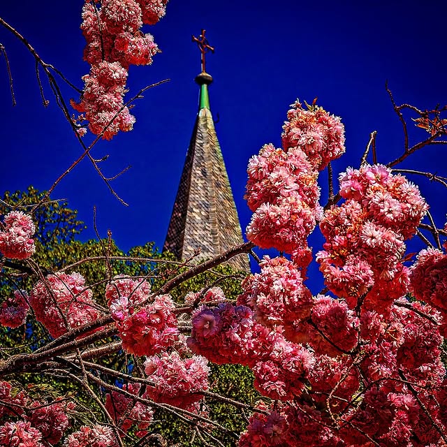 491270859_18140355817387613_4858417195625215712_n.