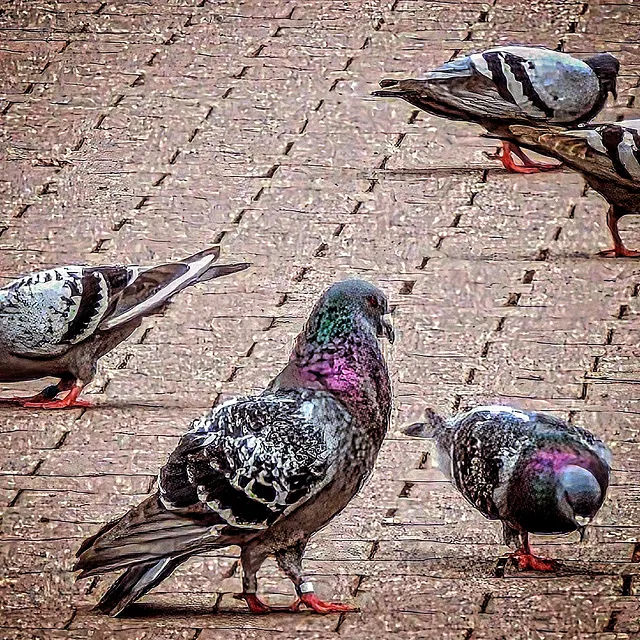 503706644_18144122692387613_7653460799008891119_n.